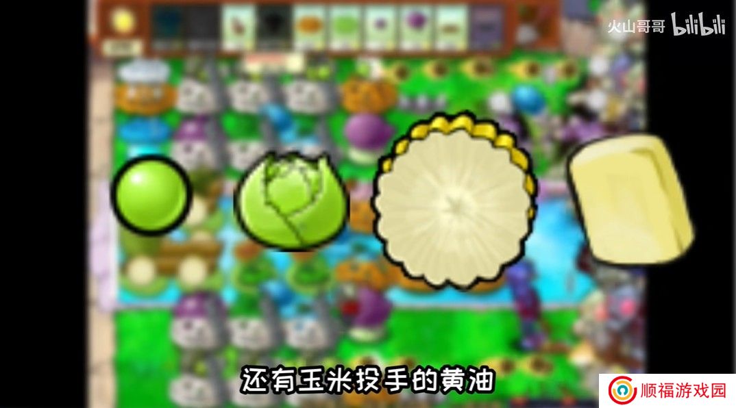 沙威玛植物大战僵尸版